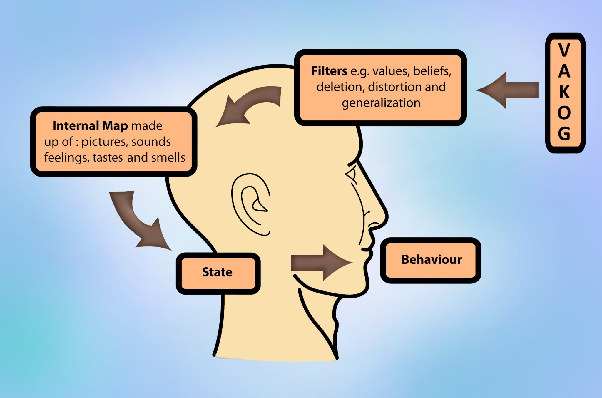 The Meta Model - How Beliefs Are Born - Nlp School